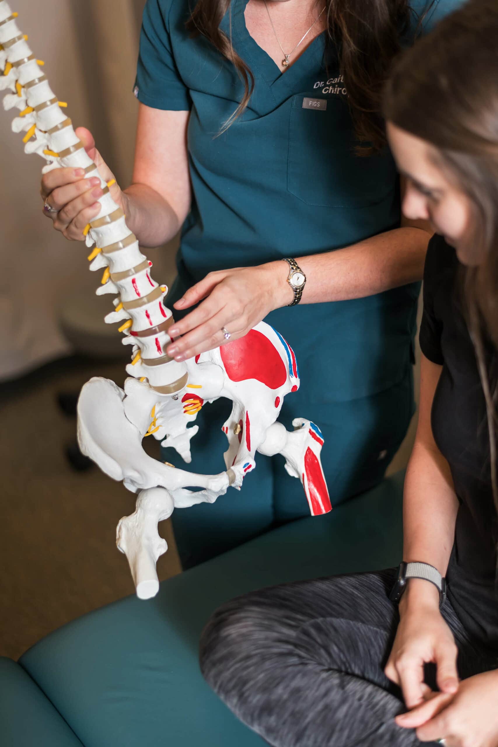 cropped image of a chiropractor showing a patient's spine & hip skeleton