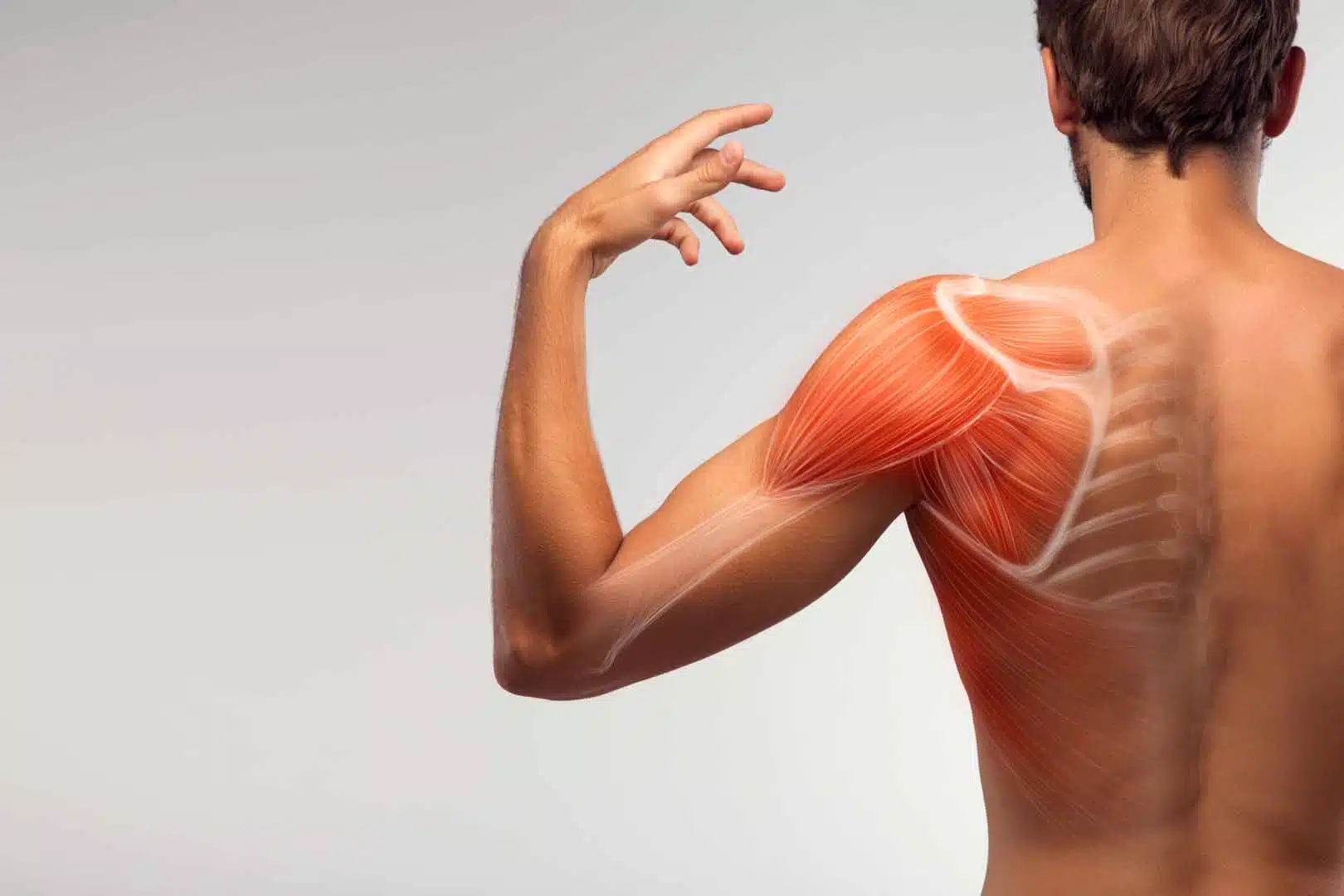Image of a man from the back showing his shoulder.