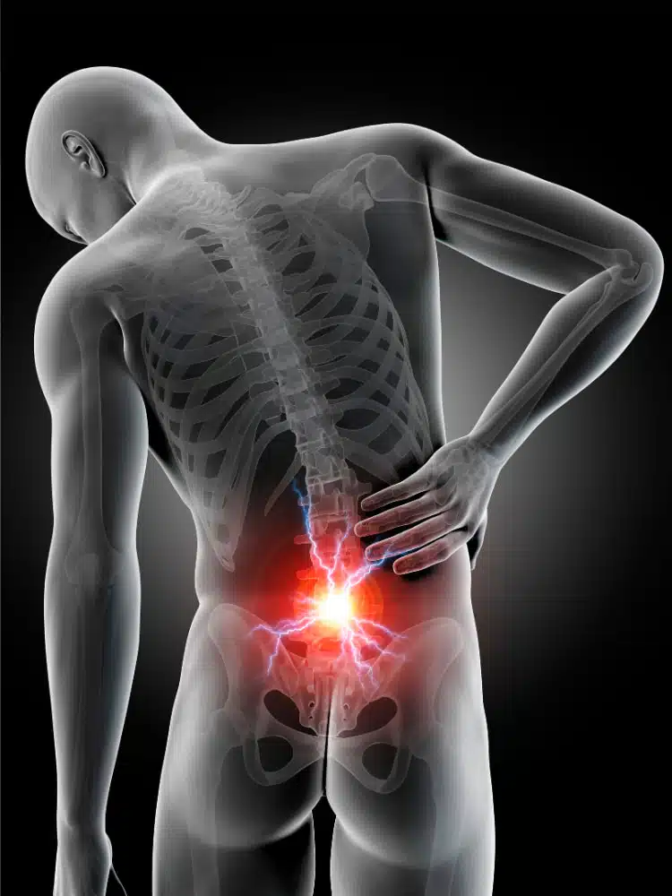 3D human skeleton showing back pain concept.