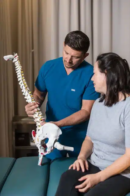 Chiropractor holding an artificial spine explaining about the adjustment.